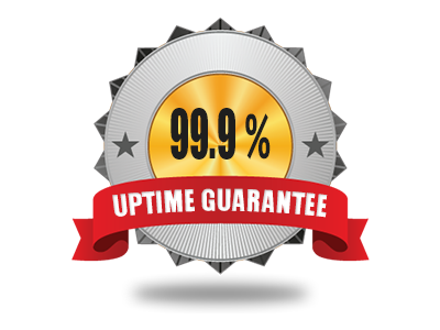 99.9% Server Uptime Guarantee